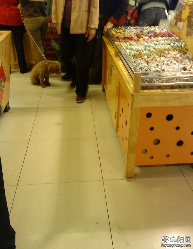 QQ截图20121030172353.jpg