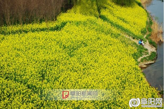 QQ截图20160411164301.jpg
