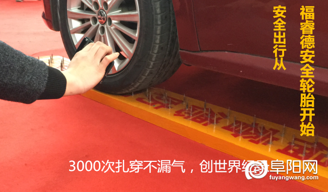 271136523e1108d5033022_副本.png