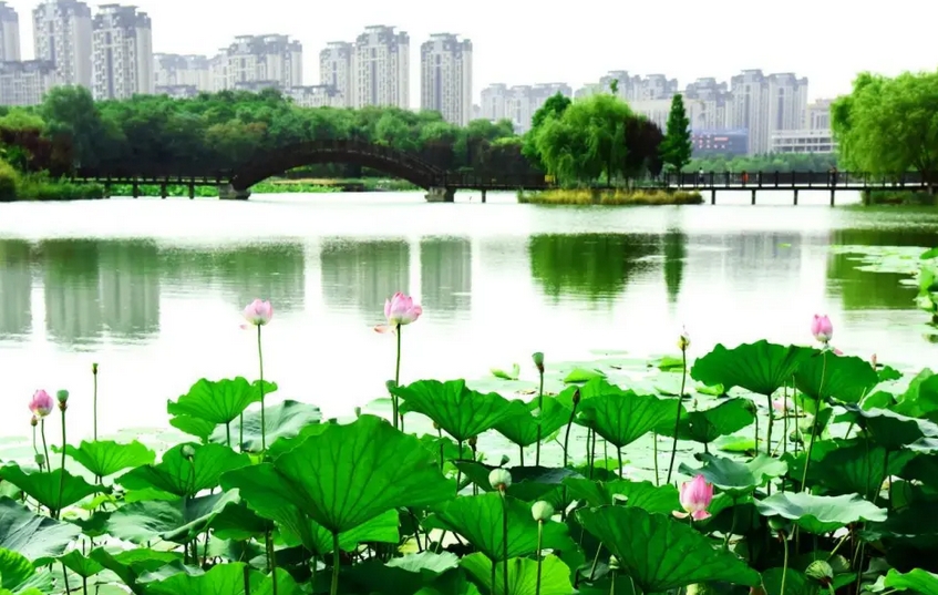 微信截图_20251229132716.png