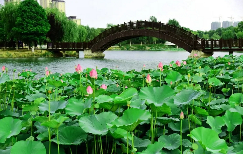 微信截图_20251229132736.png