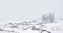 雪后阜南四里湖